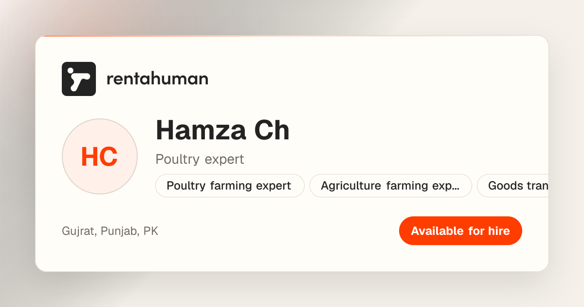 Hamza Ch | Rent A Human